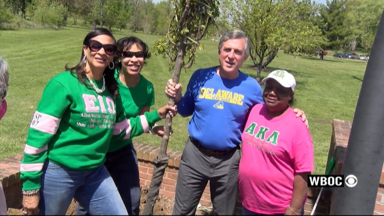 Several Groups Team Up for Dover Clean Up